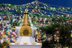 Travel Zone Kalachakra Temple