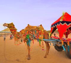 Best Rajasthan Tour Package