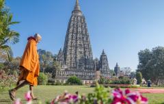 Travel Zone Mahabodhi Temple