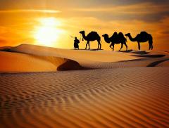 Rajasthan Tour Package