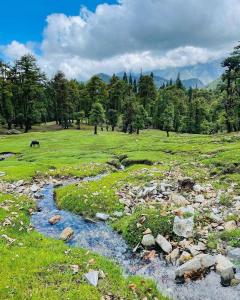 Chopta